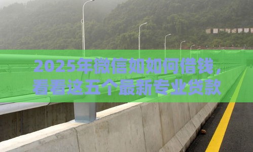 2025年微信如如何借钱，看看这五个最新专业贷款平台