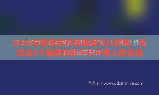 2025年微信软件里哪里可以借钱，试试这5个最新贷款平台不用人脸识别