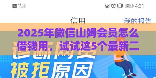2025年微信山姆会员怎么借钱用，试试这5个最新二手车贷款平台
