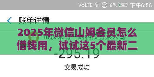 2025年微信山姆会员怎么借钱用，试试这5个最新二手车贷款平台