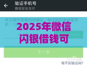 2025年微信闪银借钱可信吗，推荐五个最新十八岁可以借钱的平台