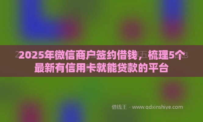2025年微信商户签约借钱，梳理5个最新有信用卡就能贷款的平台