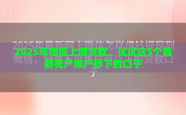 2025年微信上借贷款，试试这5个最新花户黑户秒下的口子