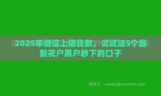 2025年微信上借贷款，试试这5个最新花户黑户秒下的口子