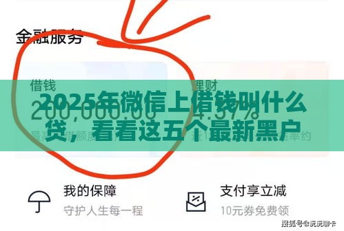 2025年微信上借钱叫什么贷，看看这五个最新黑户花户能下款的平台