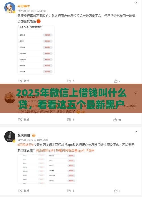 2025年微信上借钱叫什么贷，看看这五个最新黑户花户能下款的平台