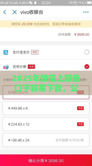 2025年微信上那些口子容易下款，公布5个最新大老黑能下款的口子