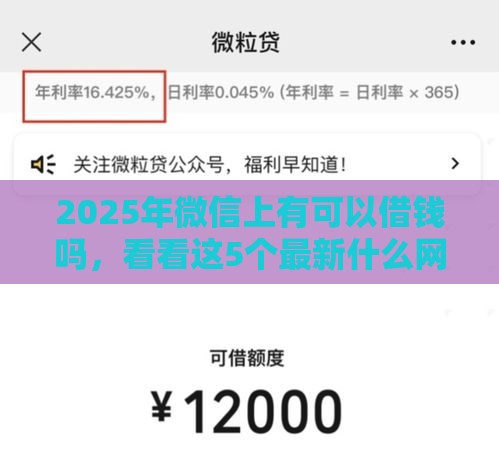 2025年微信上有可以借钱吗，看看这5个最新什么网贷平台正规