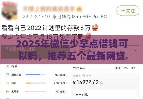 2025年微信少拿点借钱可以吗，推荐五个最新网贷交流平台