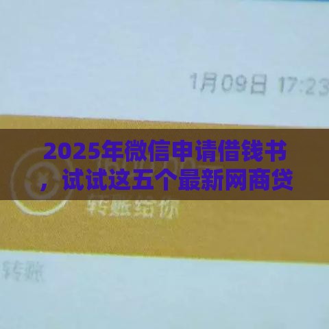 2025年微信申请借钱书，试试这五个最新网商贷平台