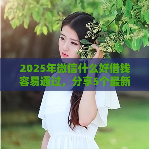 2025年微信什么好借钱容易通过，分享5个最新十大良心贷款平台