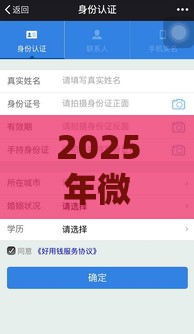 2025年微信什么可以借钱好用点，整合五个最新网上贷款平台好