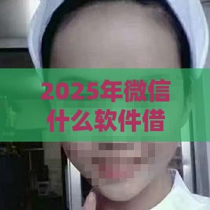 2025年微信什么软件借钱火爆，分享5个最新近期好下款的平台