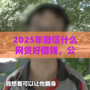 2025年微信什么网贷好借钱，公布五个最新正规贷款平台