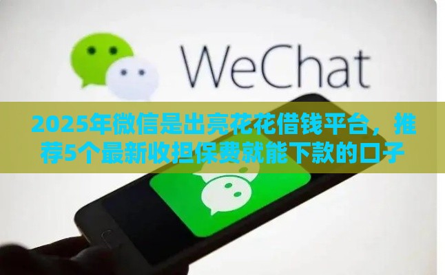 2025年微信是出亮花花借钱平台，推荐5个最新收担保费就能下款的口子