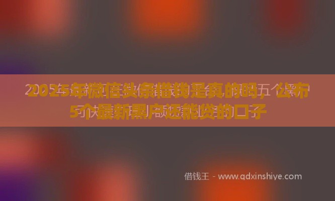 2025年微信头条借钱是真的吗，公布5个最新黑户还能贷的口子