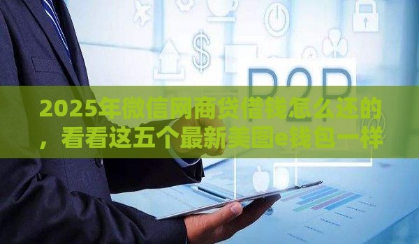2025年微信网商贷借钱怎么还的，看看这五个最新美图e钱包一样的平台