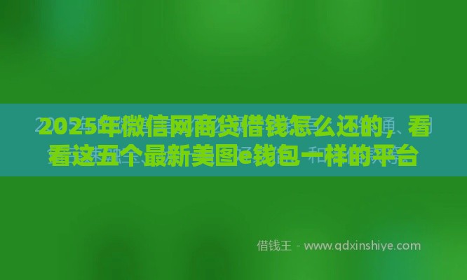 2025年微信网商贷借钱怎么还的，看看这五个最新美图e钱包一样的平台