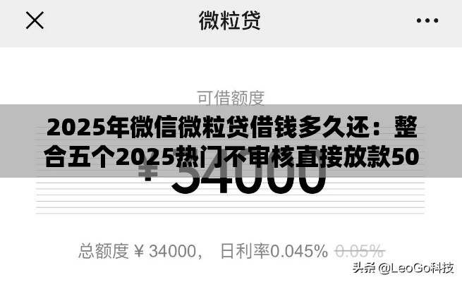 2025年微信微粒贷借钱多久还：整合五个2025热门不审核直接放款500的平台
