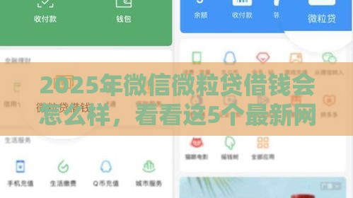 2025年微信微粒贷借钱会怎么样，看看这5个最新网贷平台电话