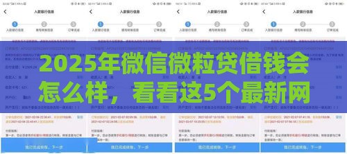 2025年微信微粒贷借钱会怎么样，看看这5个最新网贷平台电话