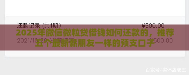 2025年微信微粒贷借钱如何还款的，推荐五个最新薪朋友一样的预支口子
