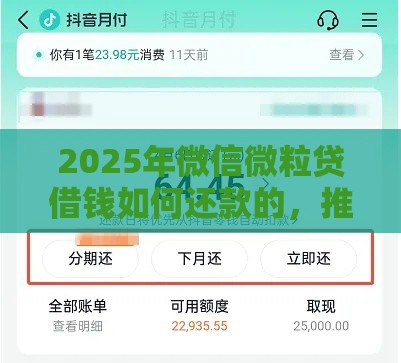 2025年微信微粒贷借钱如何还款的，推荐五个最新薪朋友一样的预支口子