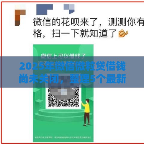 2025年微信微粒贷借钱尚未关闭，整理5个最新靠谱的借钱平台