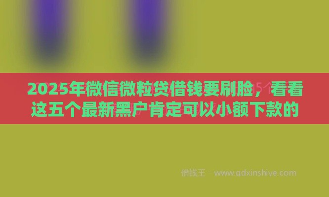 2025年微信微粒贷借钱要刷脸，看看这五个最新黑户肯定可以小额下款的平台