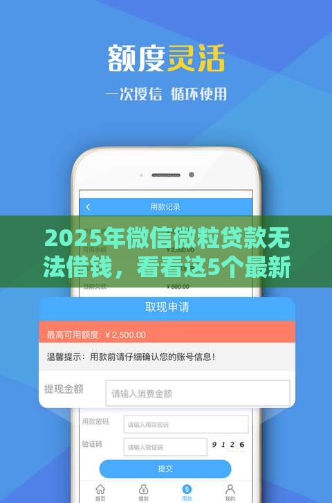 2025年微信微粒贷款无法借钱，看看这5个最新网上比较好的贷款平台