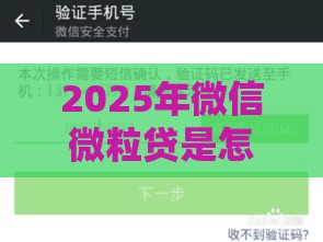 2025年微信微粒贷是怎么借钱，推荐5个最新好一点的贷款平台