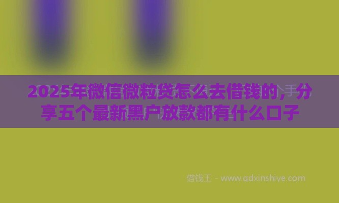 2025年微信微粒贷怎么去借钱的，分享五个最新黑户放款都有什么口子