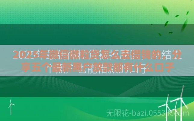 2025年微信微粒贷怎么去借钱的，分享五个最新黑户放款都有什么口子