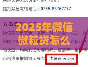 2025年微信微粒贷怎么去借钱还款，整合五个最新什么借款平台最好借款通过