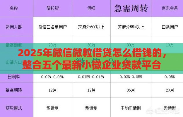2025年微信微粒借贷怎么借钱的，整合五个最新小微企业贷款平台