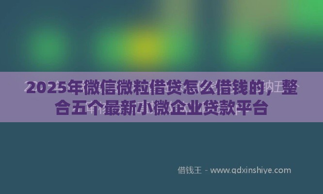 2025年微信微粒借贷怎么借钱的，整合五个最新小微企业贷款平台