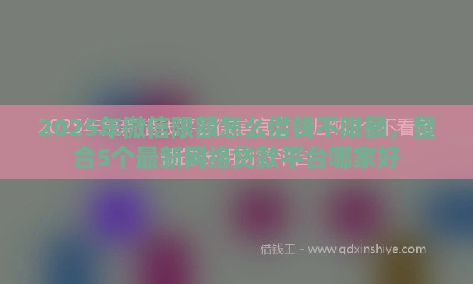 2025年微信限额怎么借钱不限额，整合5个最新网络贷款平台哪家好