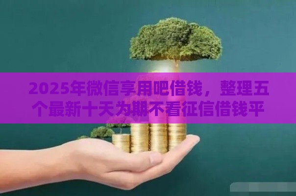 2025年微信享用吧借钱，整理五个最新十天为期不看征信借钱平台