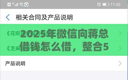 2025年微信向蒋总借钱怎么借，整合5个最新有没有什么软件征信黑了可以贷款