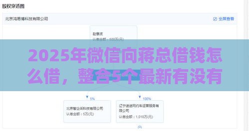 2025年微信向蒋总借钱怎么借，整合5个最新有没有什么软件征信黑了可以贷款