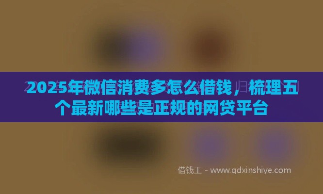 2025年微信消费多怎么借钱，梳理五个最新哪些是正规的网贷平台