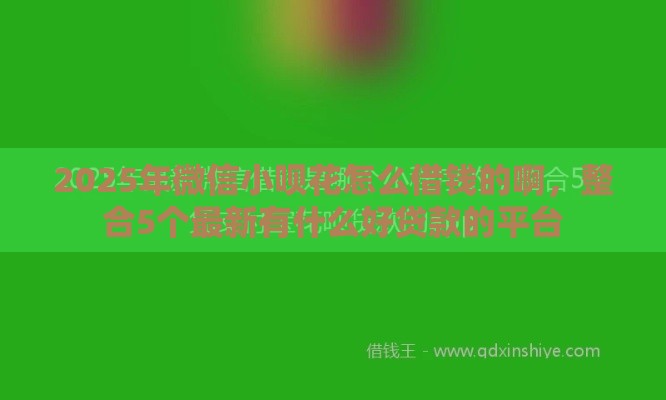 2025年微信小呗花怎么借钱的啊，整合5个最新有什么好贷款的平台