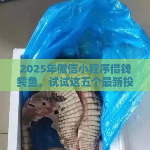 2025年微信小程序借钱鳄鱼，试试这五个最新投诉网贷平台电话