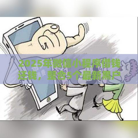 2025年微信小程序借钱还钱，整合5个最新黑户网贷平台能借到钱啊急用