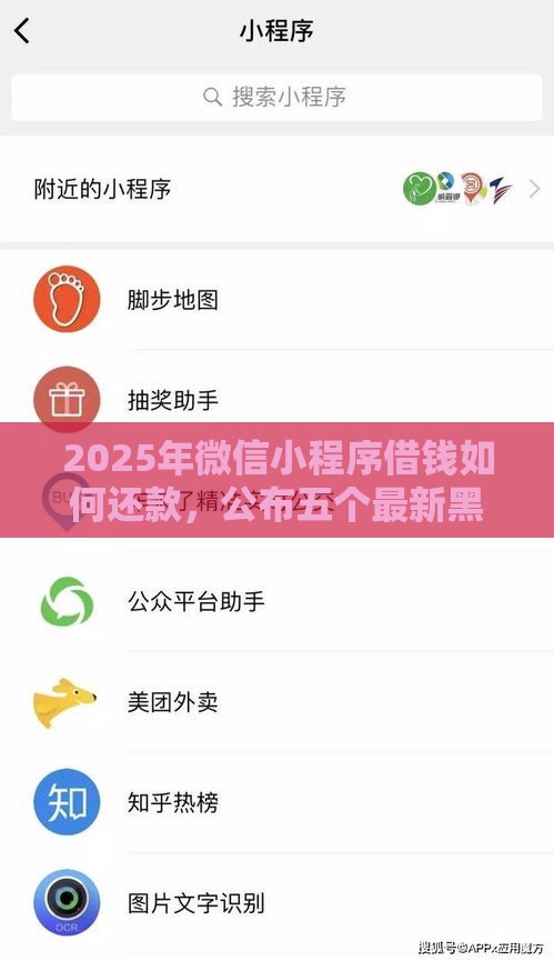 2025年微信小程序借钱如何还款，公布五个最新黑户贷款平台