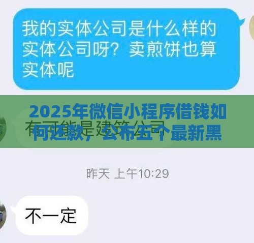 2025年微信小程序借钱如何还款，公布五个最新黑户贷款平台