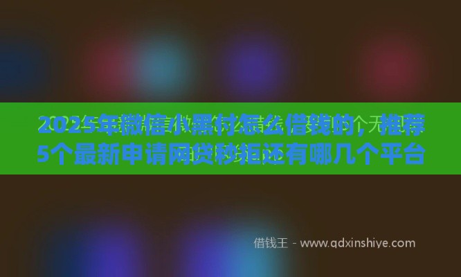 2025年微信小黑付怎么借钱的，推荐5个最新申请网贷秒拒还有哪几个平台可以借