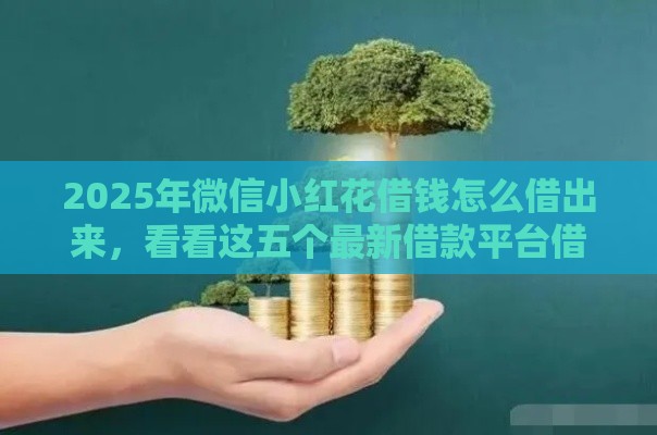 2025年微信小红花借钱怎么借出来，看看这五个最新借款平台借钱利息最低