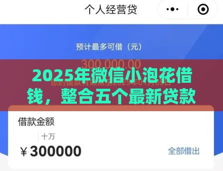 2025年微信小泡花借钱，整合五个最新贷款平台推荐