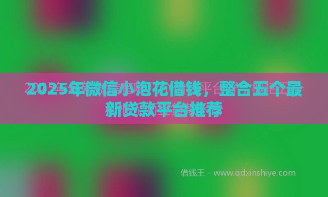 2025年微信小泡花借钱，整合五个最新贷款平台推荐